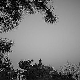 小清新机甲冒险《Stonefly》新演示3月31日发售